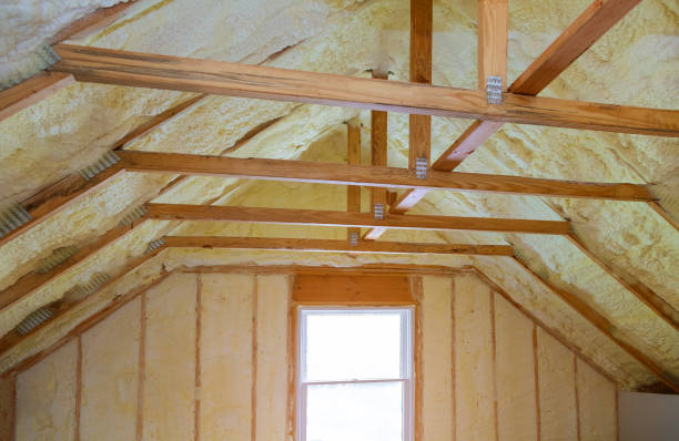 Best Insulation Contractors for Homes  in , NJ