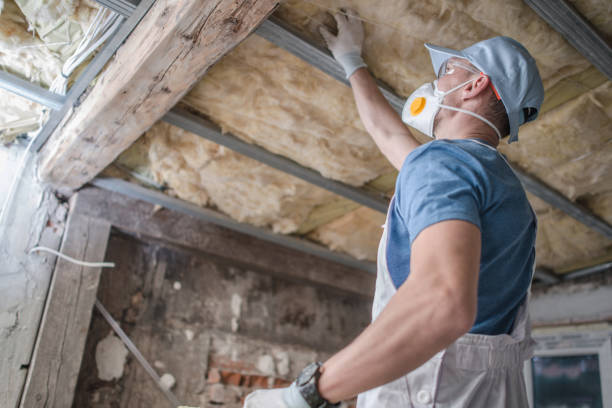 Best Insulation Inspection Services  in , NJ