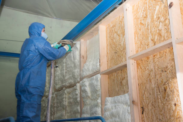 Best Wall Insulation Contractor  in , NJ